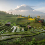 explorez sidemen bali, un joyau caché niché entre rizières verdoyantes et majestueuses montagnes, offrant une expérience authentique et paisible loin des sentiers touristiques.